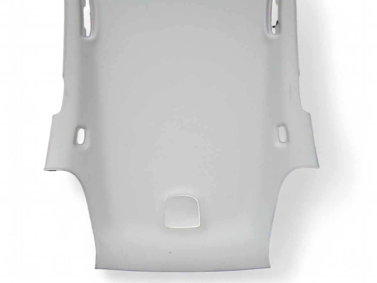CIELO INTERNO MERCEDES W251 R-KLASA