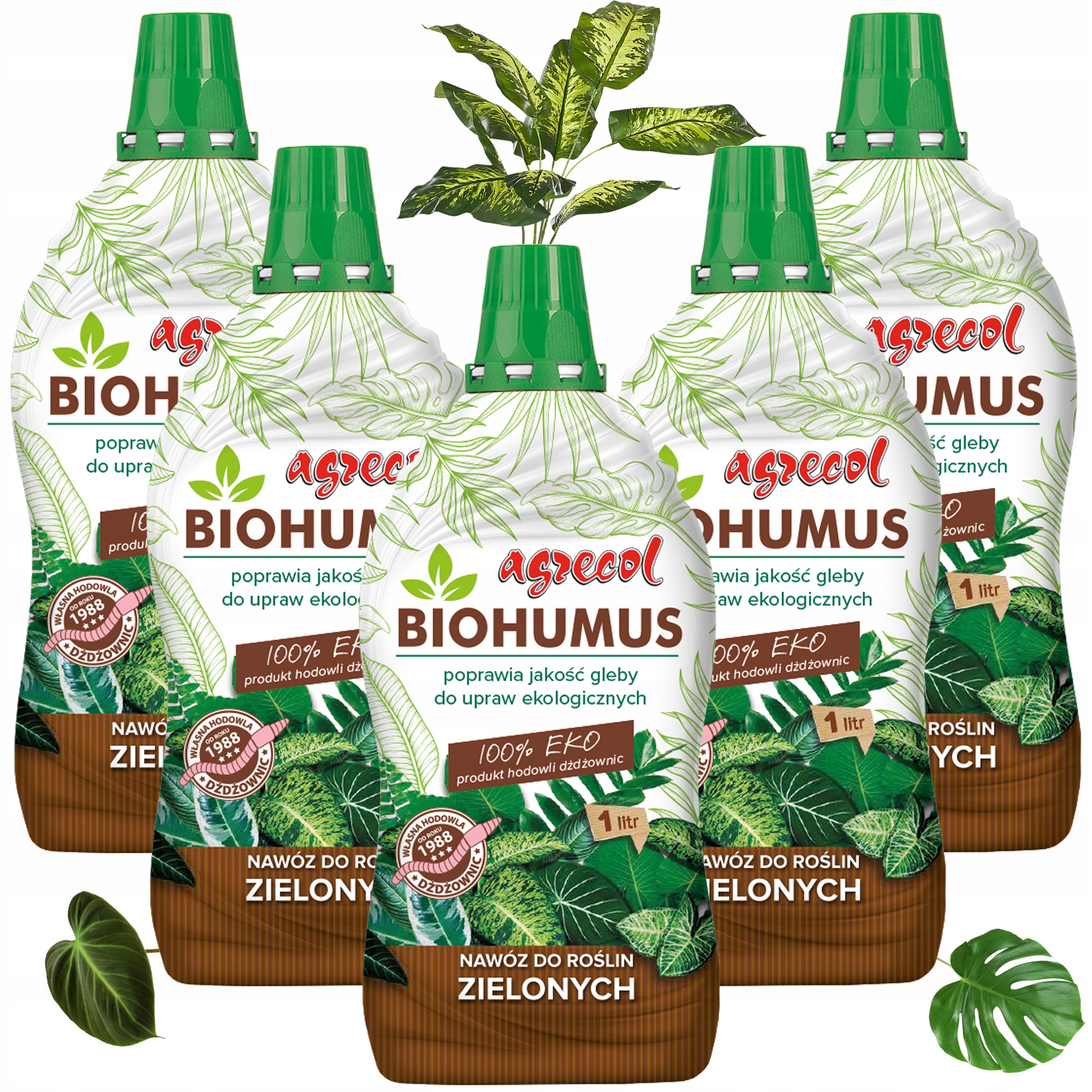 5 x Biohumus Eko hnojivo pro zelené rostliny Monstera Juka Fikus Agrecol 1 l