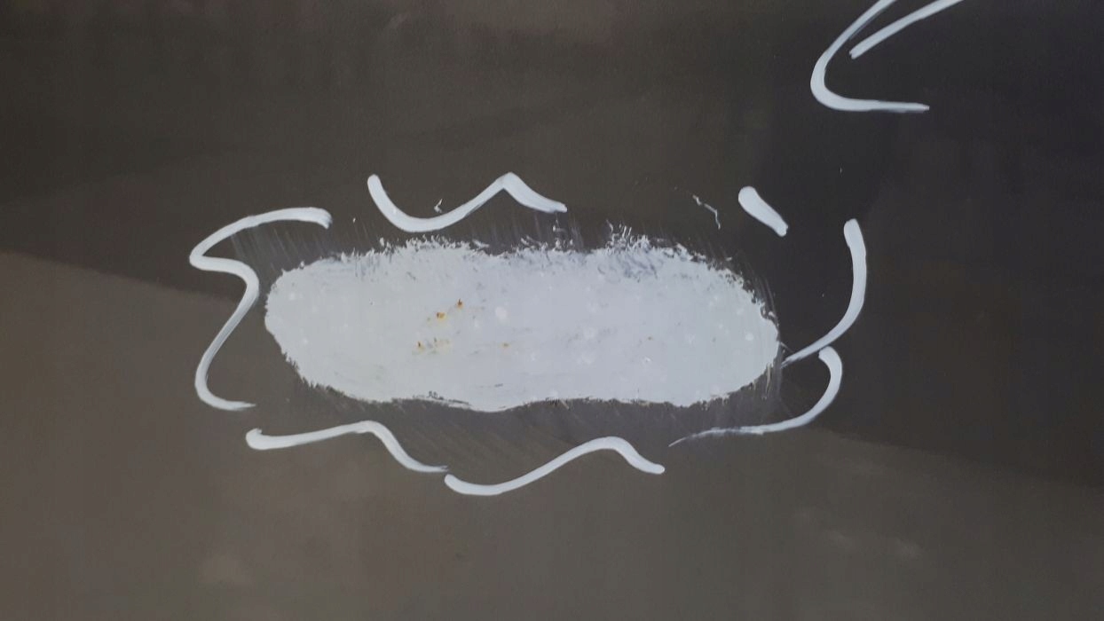 MERCEDES A-KLASA W-177 DRZWI LEWE PRZÓD Typ samochodu Samochody osobowe