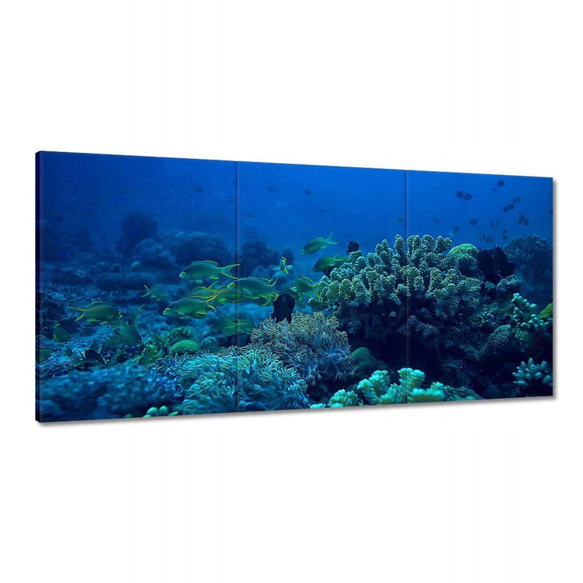 Obrazy 180x90 Laguna Koraly Ocean