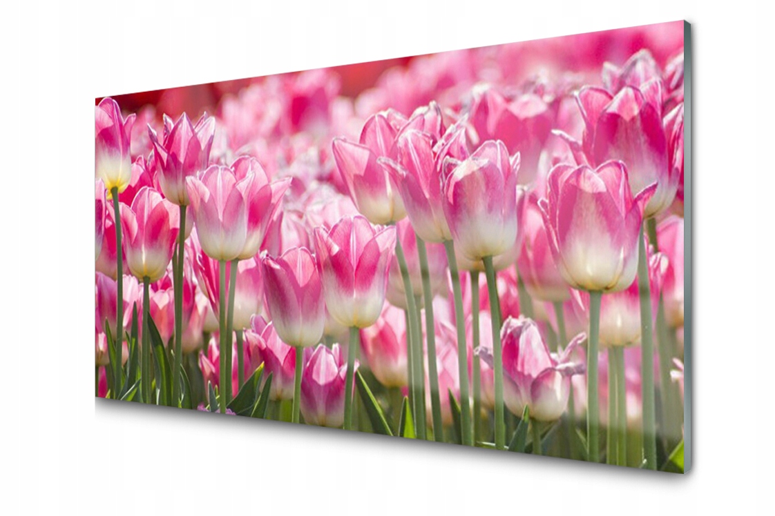 Obraz na skle Tulipány Květiny Příroda 120x60