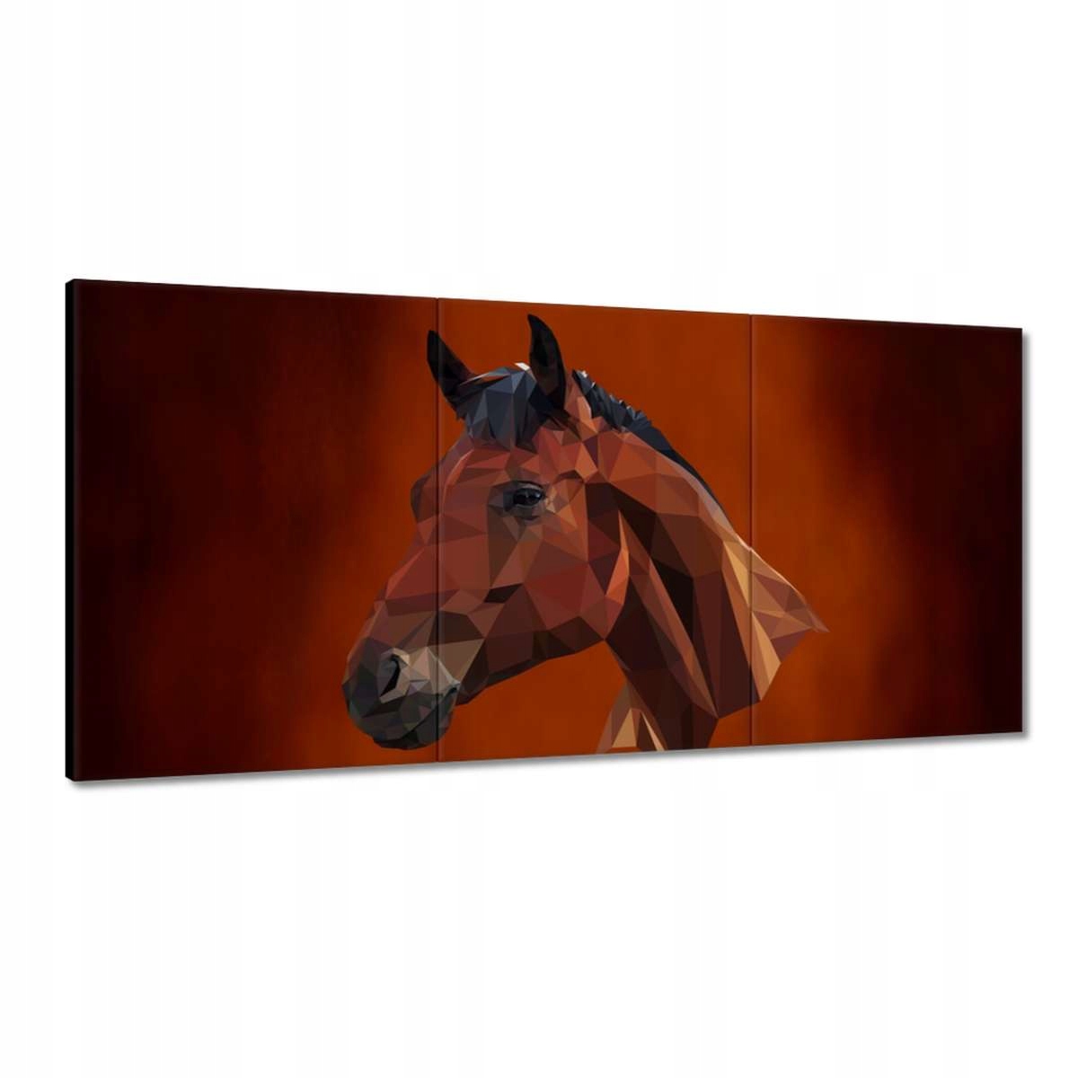 Obrazy 120x60 Hlava koně Koňská hlava
