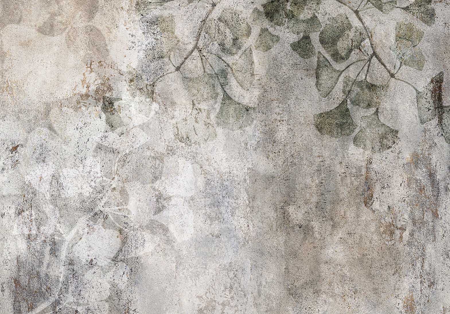 FOTOTAPETA MIŁORZĄB NATURA LIŚCIE BETONOWE TŁO 500x350 f-C-0454-a-a