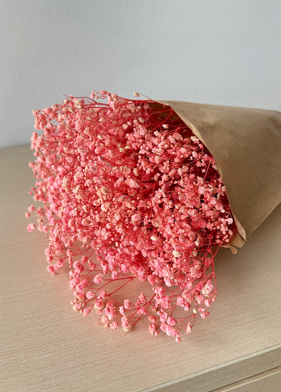 GIPSÓWKA STABILIZOWANA NIE WIĘDNIE BRZOSKWINIOWA WIECZNA BUKIET Kod producenta HomeDot