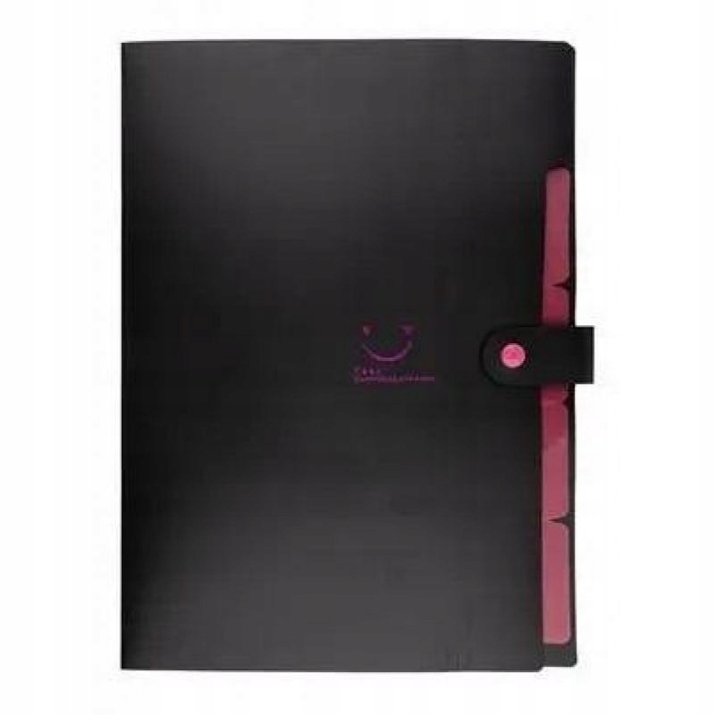 TECZKA A4 PLASTIK Z PRZEGRODAMI CZARNA BENIAMIN