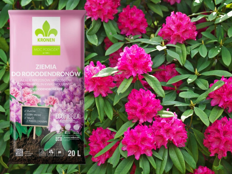 Ziemia do RODODENDRONÓW AZALII WRZOSÓW kwaśna 20L Rodzaj ziemia uprawna