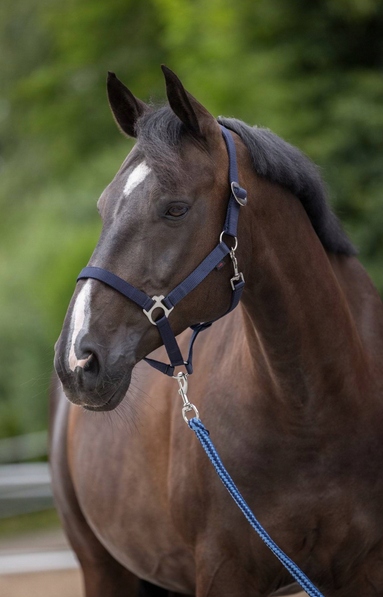 KANTAR DLA KONIA PONY GRANATOWY COVALLIERO