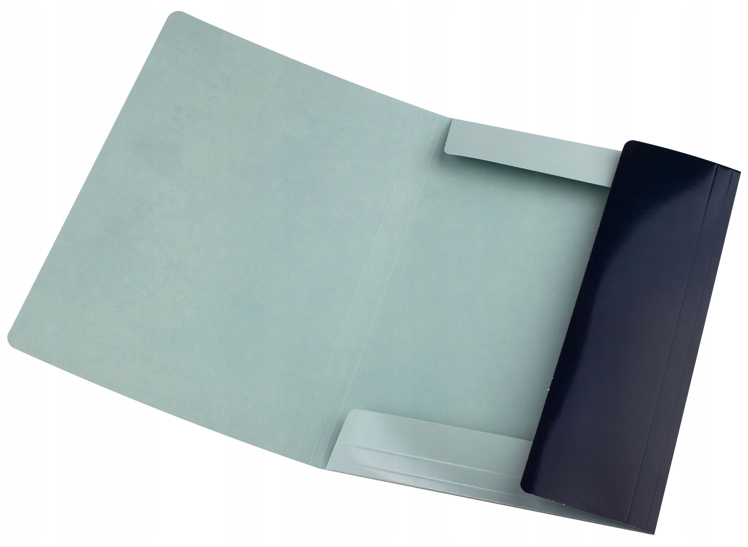 TECZKA SZKOLNA Z GUMKĄ FORMAT A4 REXUS KWIATY EAN (GTIN) 5904441111569