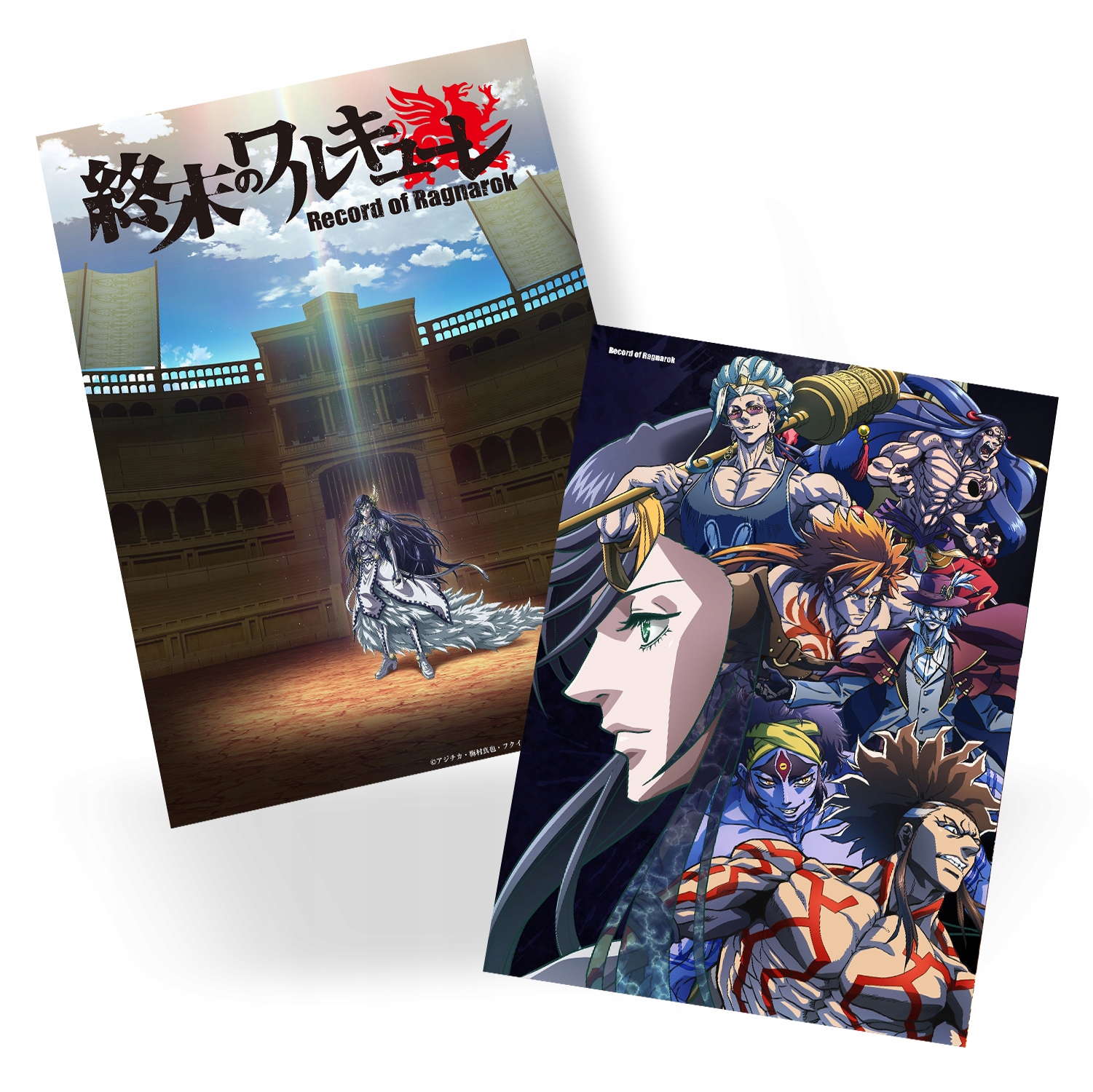 

Plakat A3 Record of Ragnarok manga anime Do Wyboru