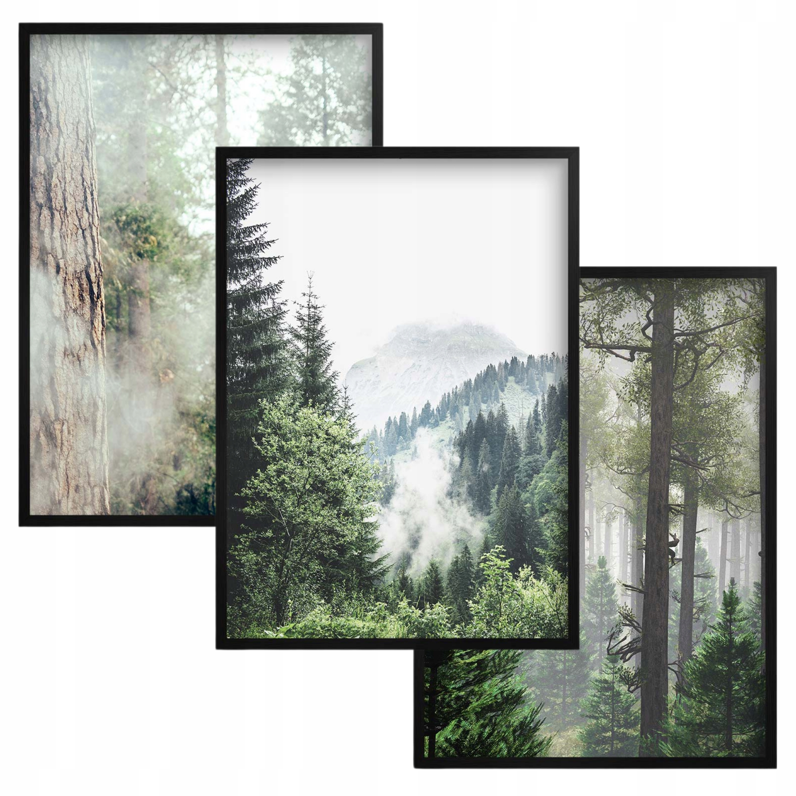 Plakáty 30x40 do obývacího pokoje, kanceláře, Obrazy v černém rámu na zeď Stromy Les