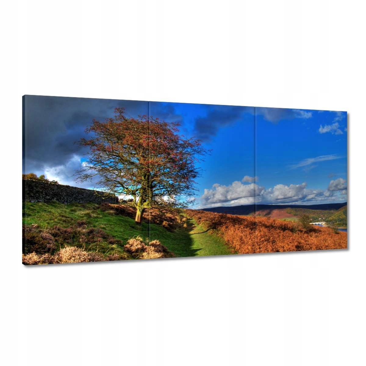 Obrazy 180x90 Stromček na pohľad