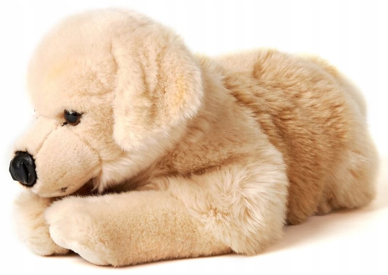 Pluszak pies Golden Retriever Uni-Toys 43 cm