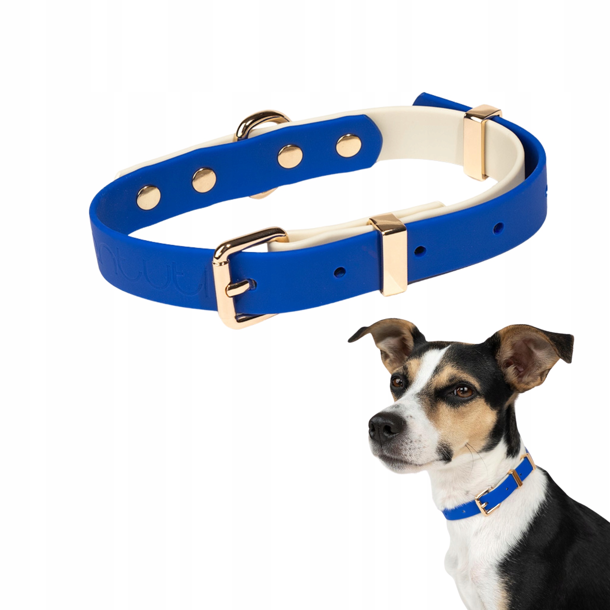 Minimalistický obojek pro psa Faro Modrý L