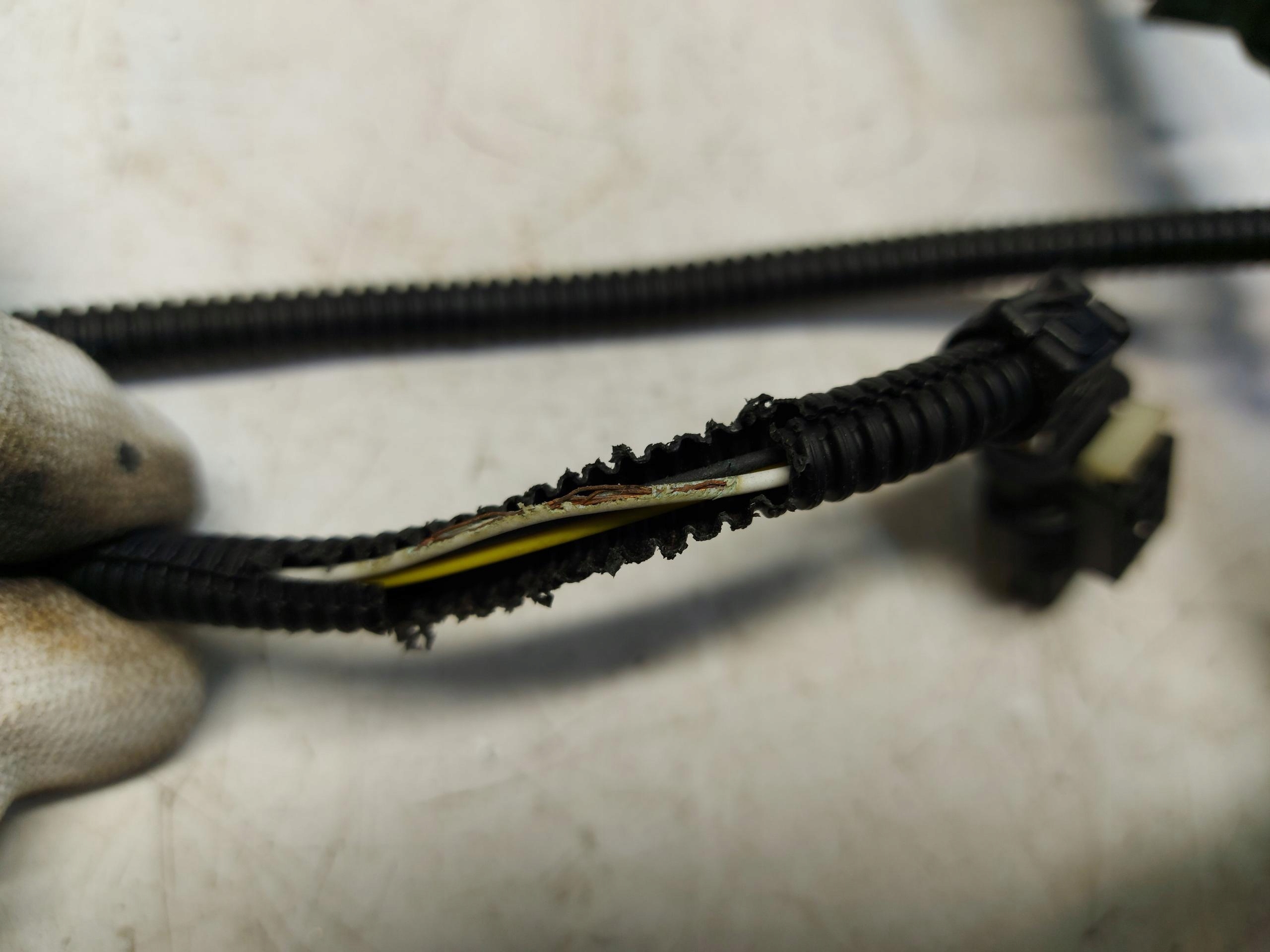 BMW F32 F33 Coupe bundle wiring