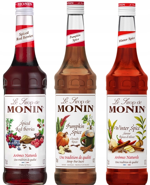 Syrop Monin spiced red berries, dyniowy, winter spice+