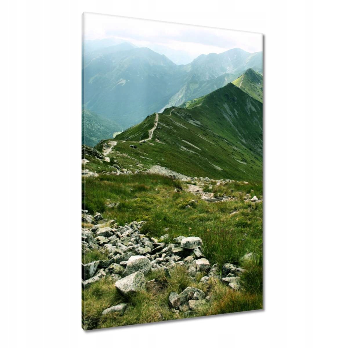 Obrazy 80x120 Tatry Polské hory Pohled
