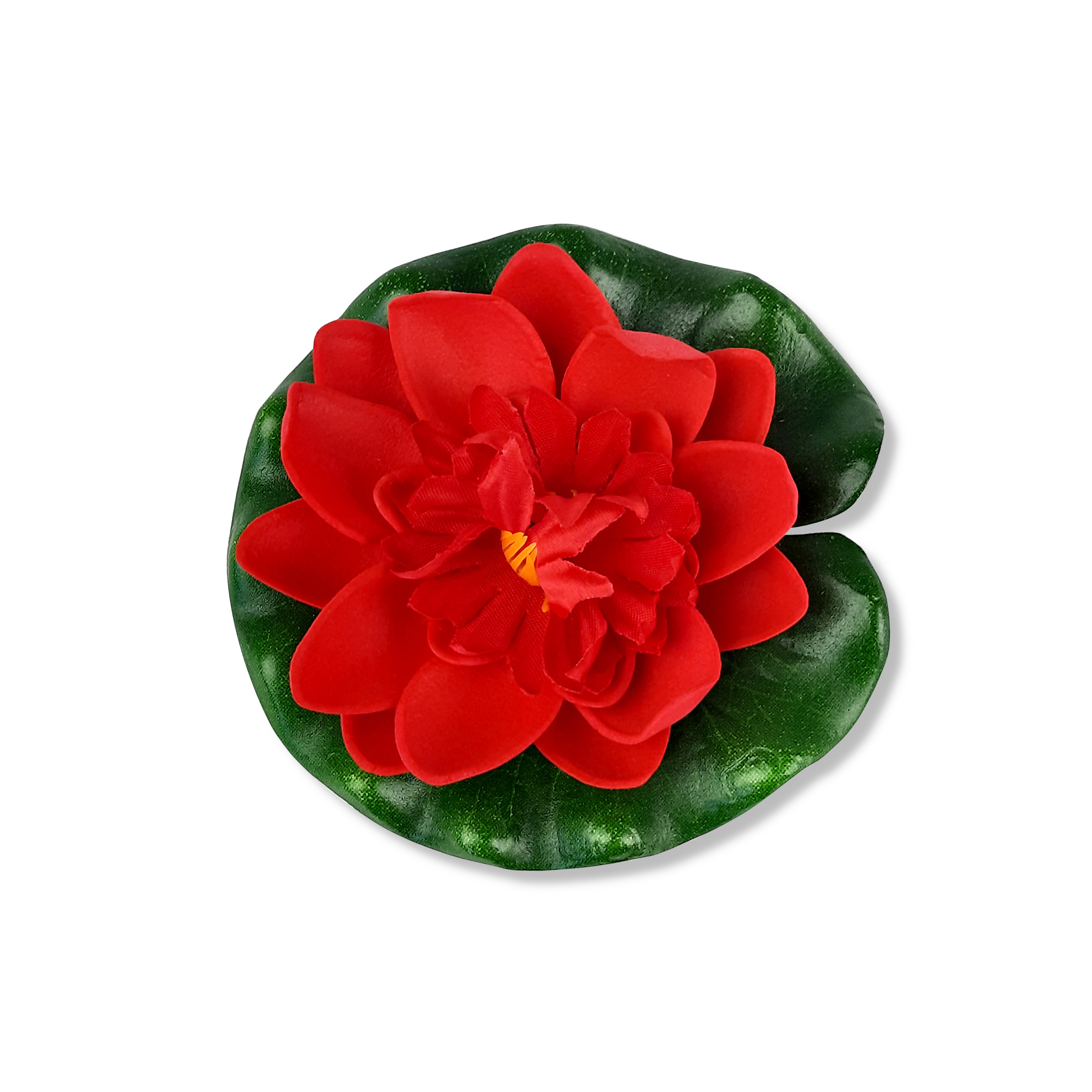 

Lilia wodna pływająca otwarta czerwona 11 cm