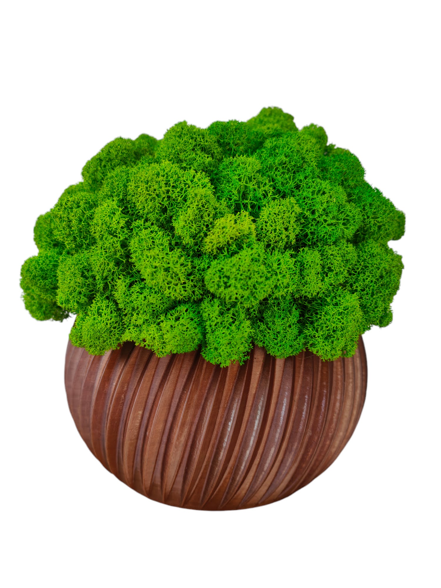 Květináč velký s mechem chrobotkem Mech Chrobotek v květináči, hnědý, 3D tisk