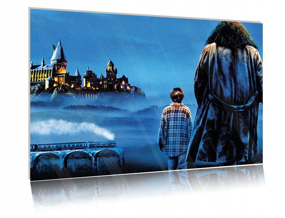 

Obraz szklany na szkle Harry Potter 04 80x60