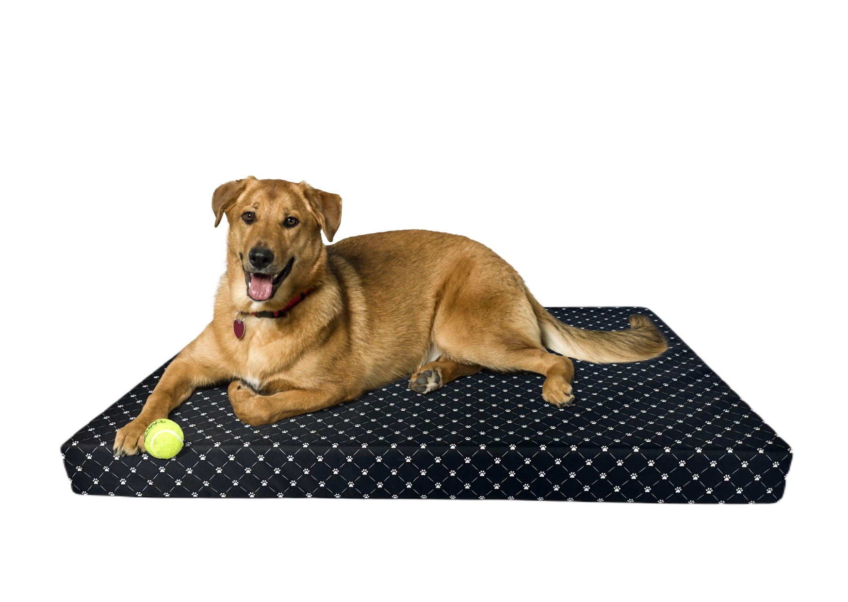 Levně Matrace Voděodolný pelíšek Pro Psa 120X80 XXL