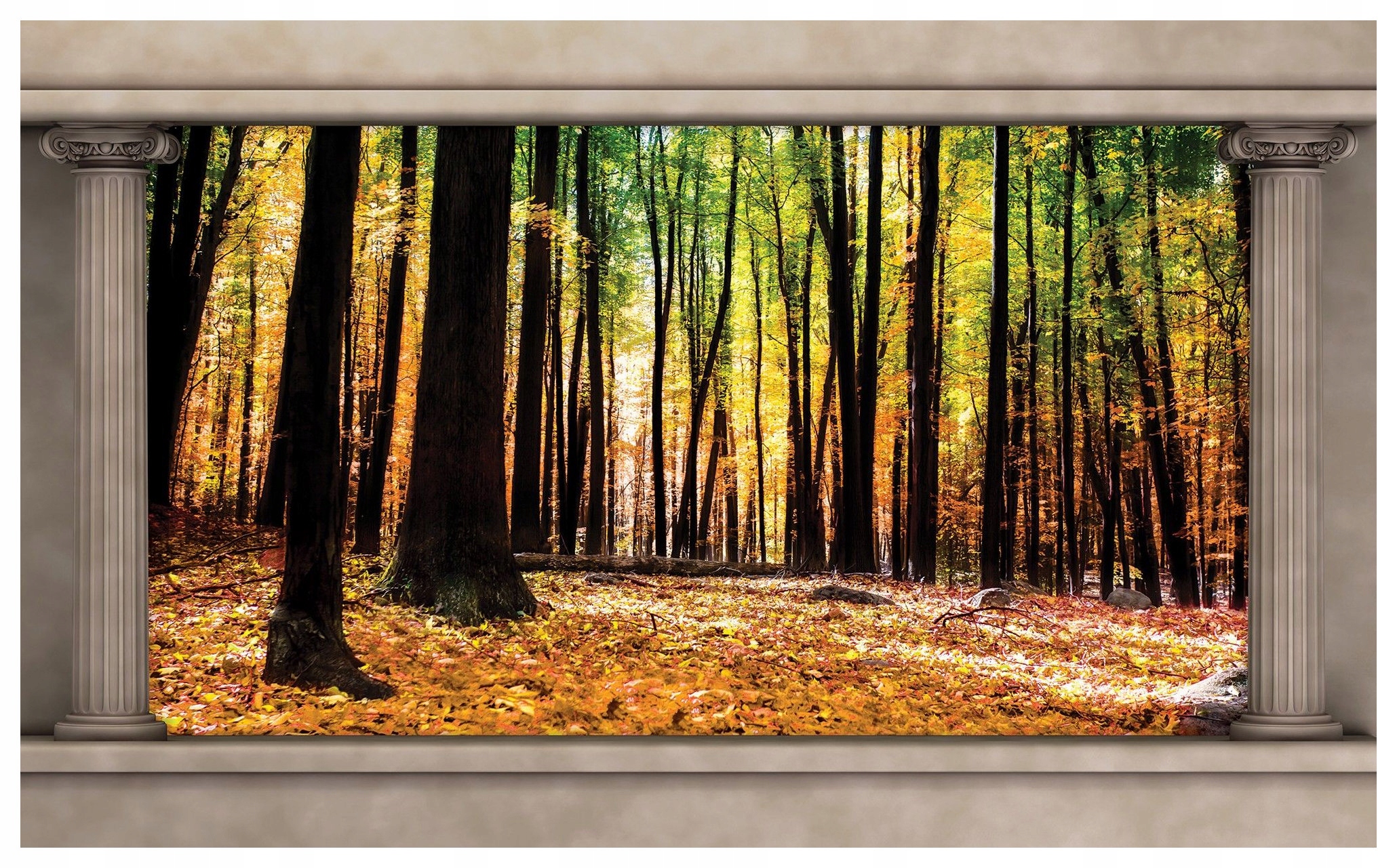 Vliesová fototapeta Podzimní les s sloupy stromů 416x254 lepidlo