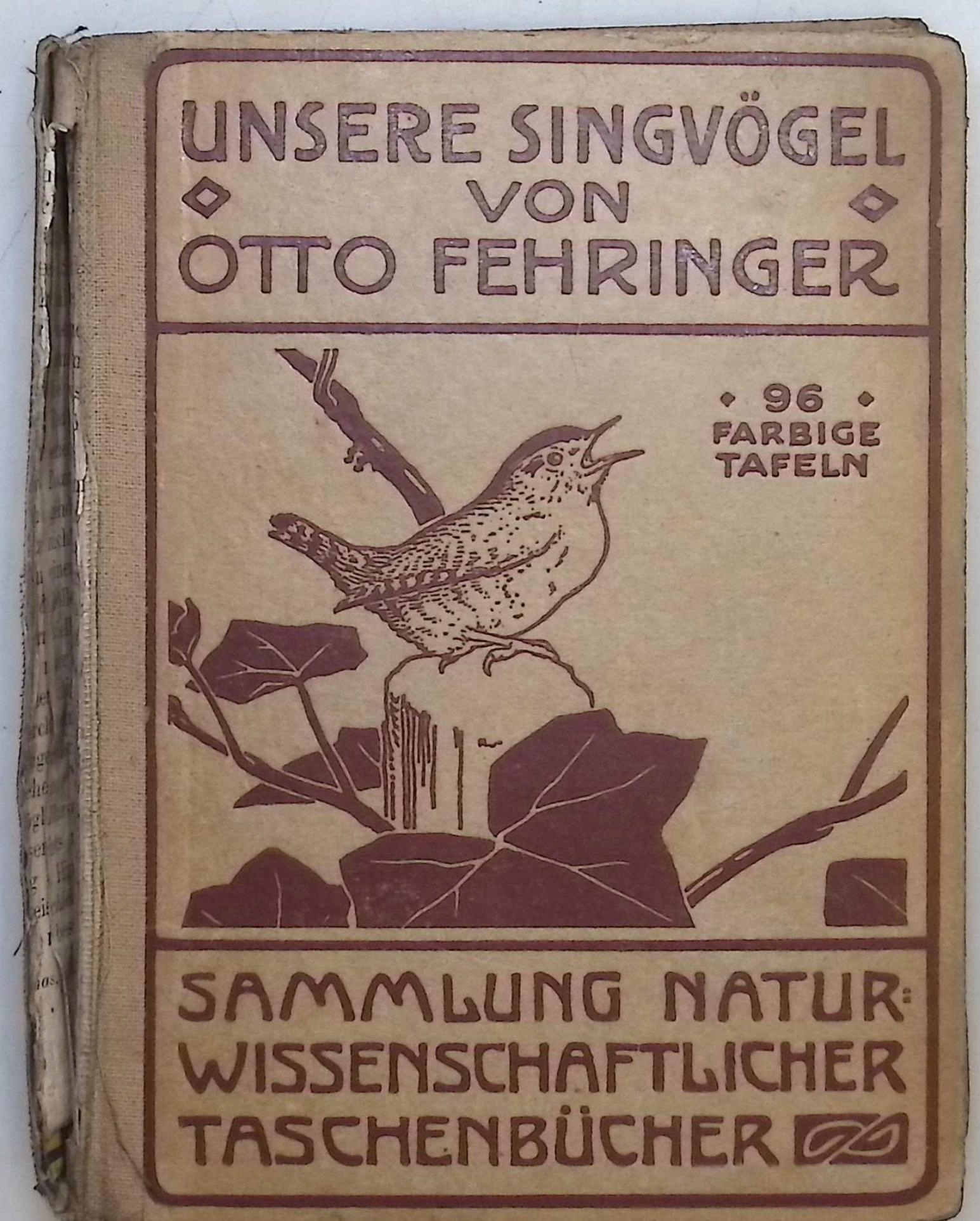 Die Singvogel Mitteleuropas (ok. 1926 r.) - Otto Fehringer