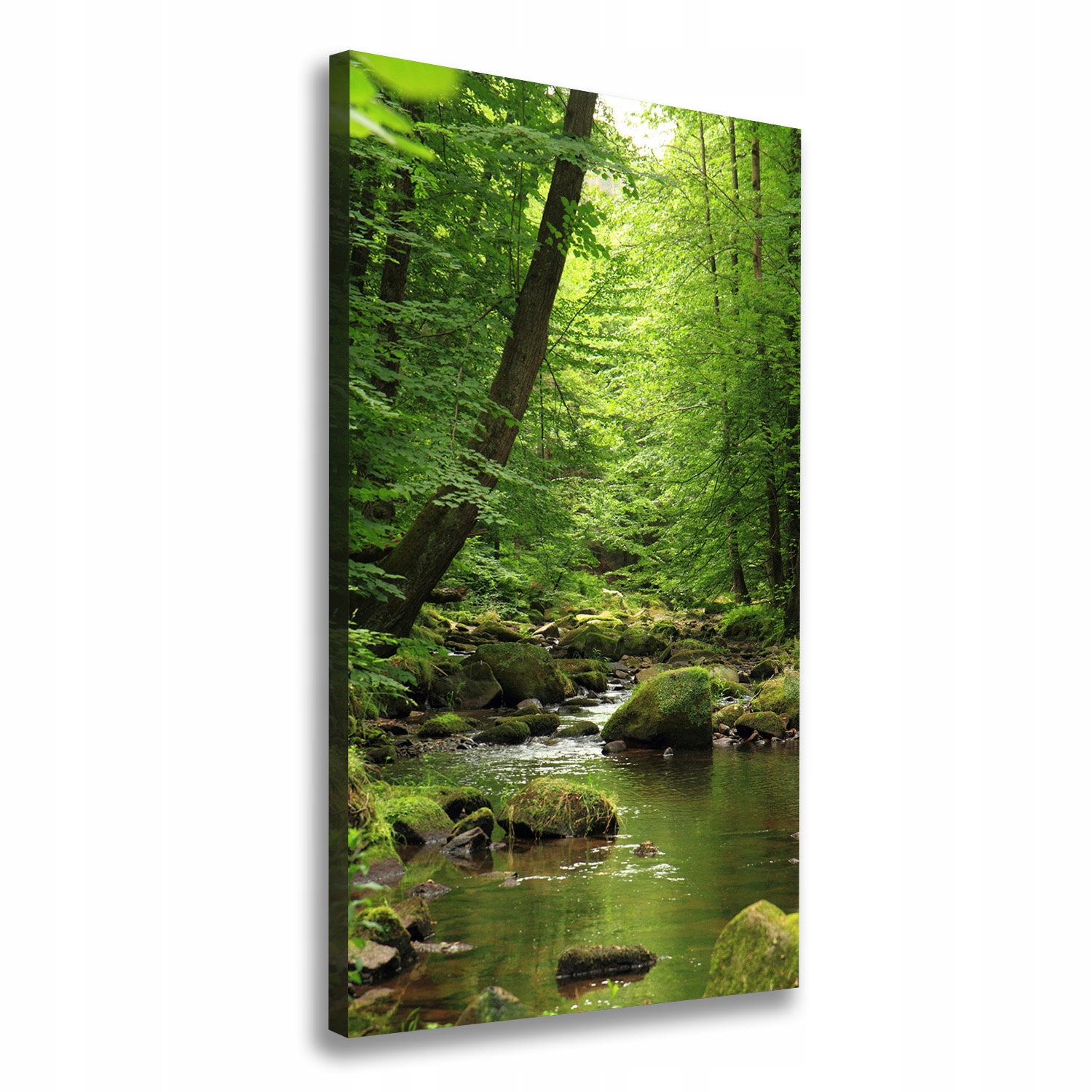 

Foto obraz canvas na ramie Rzeka w lesie 50x100 cm