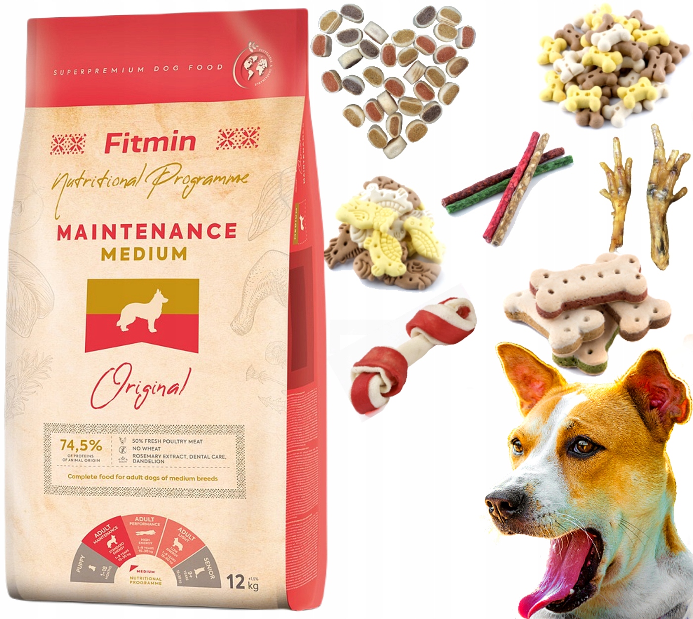 Fitmin Medium Maintenance 12kg 101