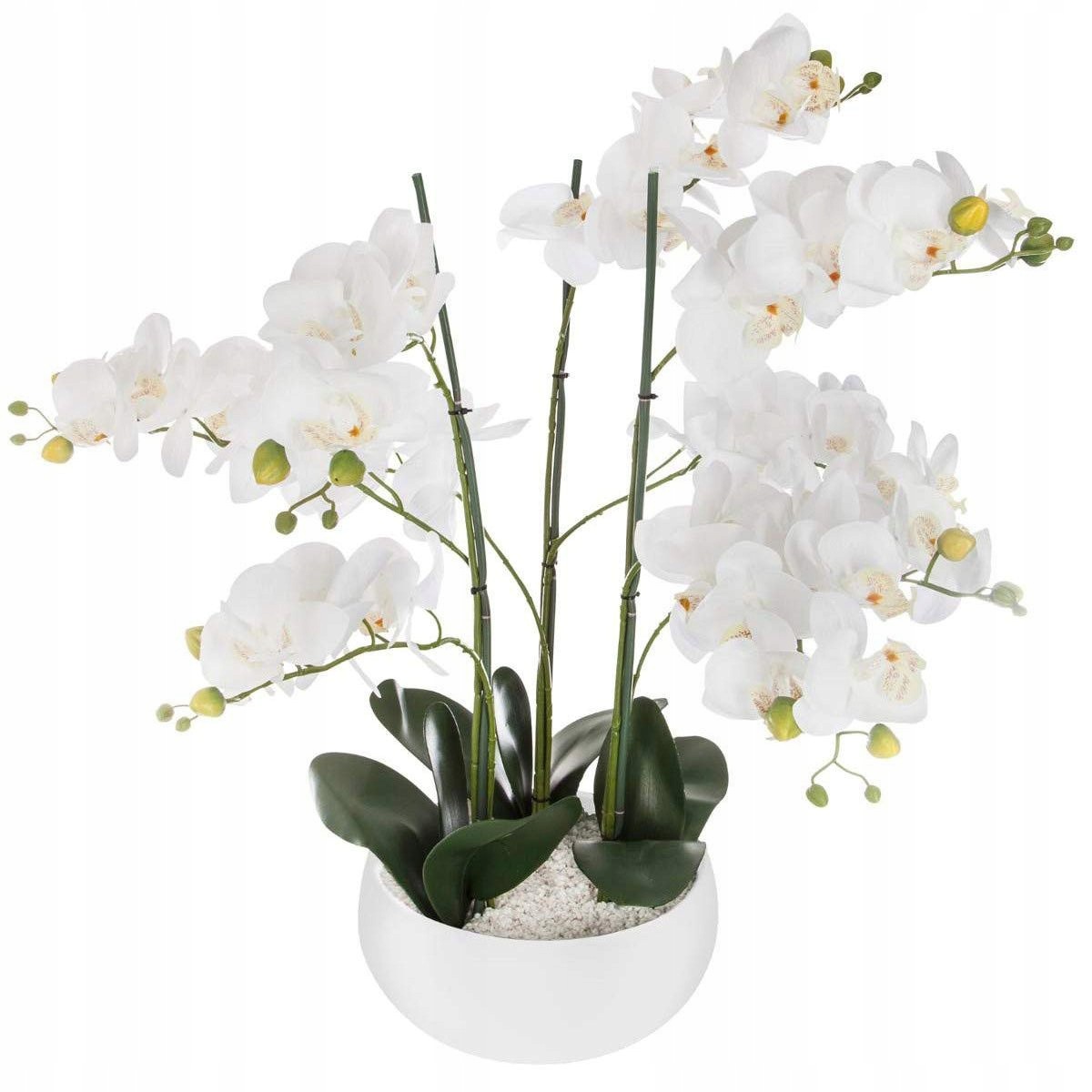 Umělá rostlina, umělá orchidej, bílý květináč, 65 cm
