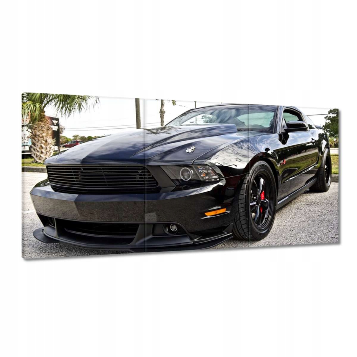 Obrazy 180x90 Čierna zviera Auto