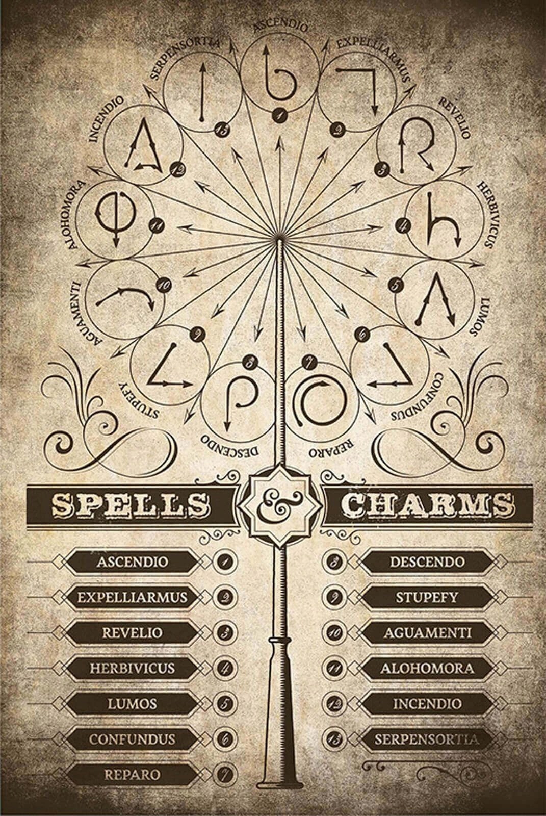 

Harry Potter Zaklęcia Uroki plakat 61x91,5 cm