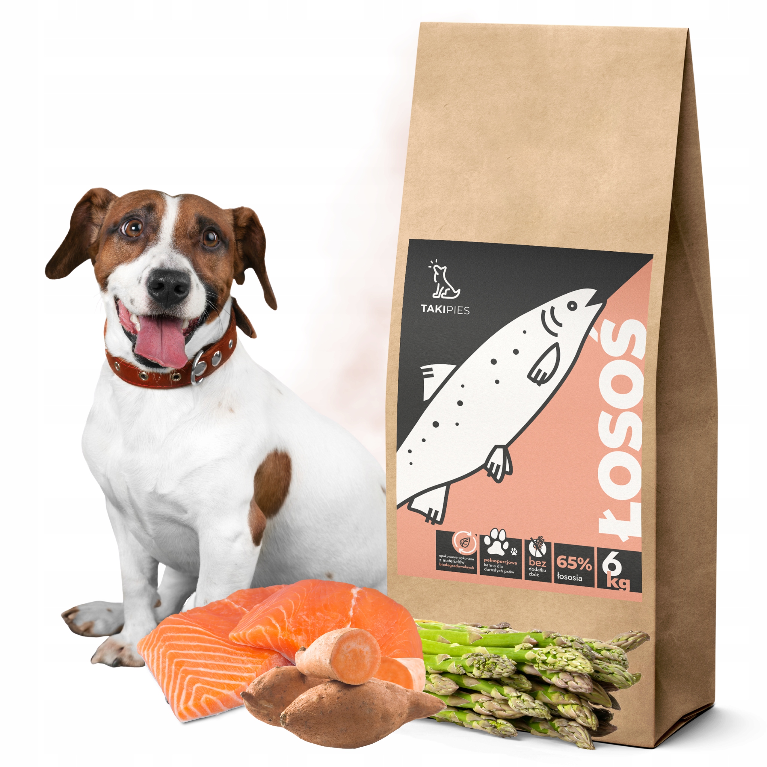 Sucha Karma Takipies Łosoś Dla Psa Hipoalergiczna Małych Ras Sierść 65% 6Kg