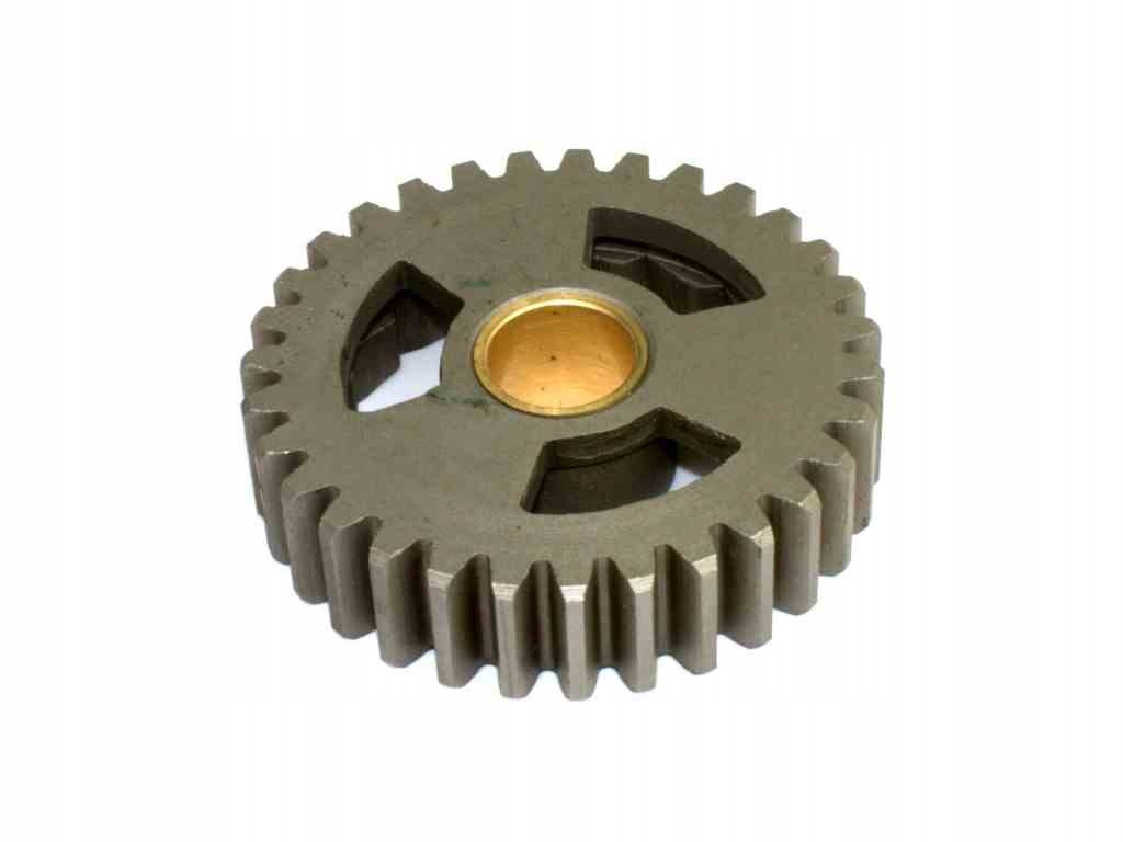 ZĘBATKA KOPNIAKA STARTERA TRYB JUNAK W Producent MotoRoy