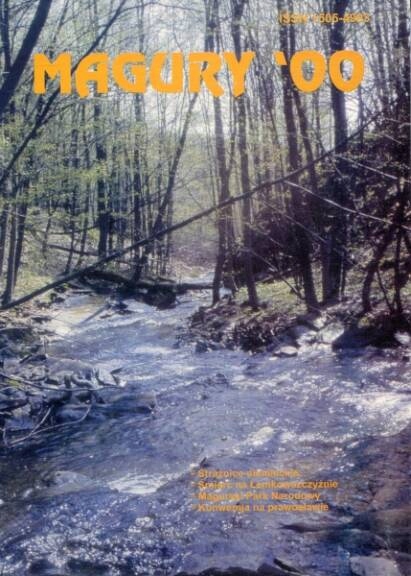 Magury 2000. Rocznik poświęcony Beskidowi Niskiemu