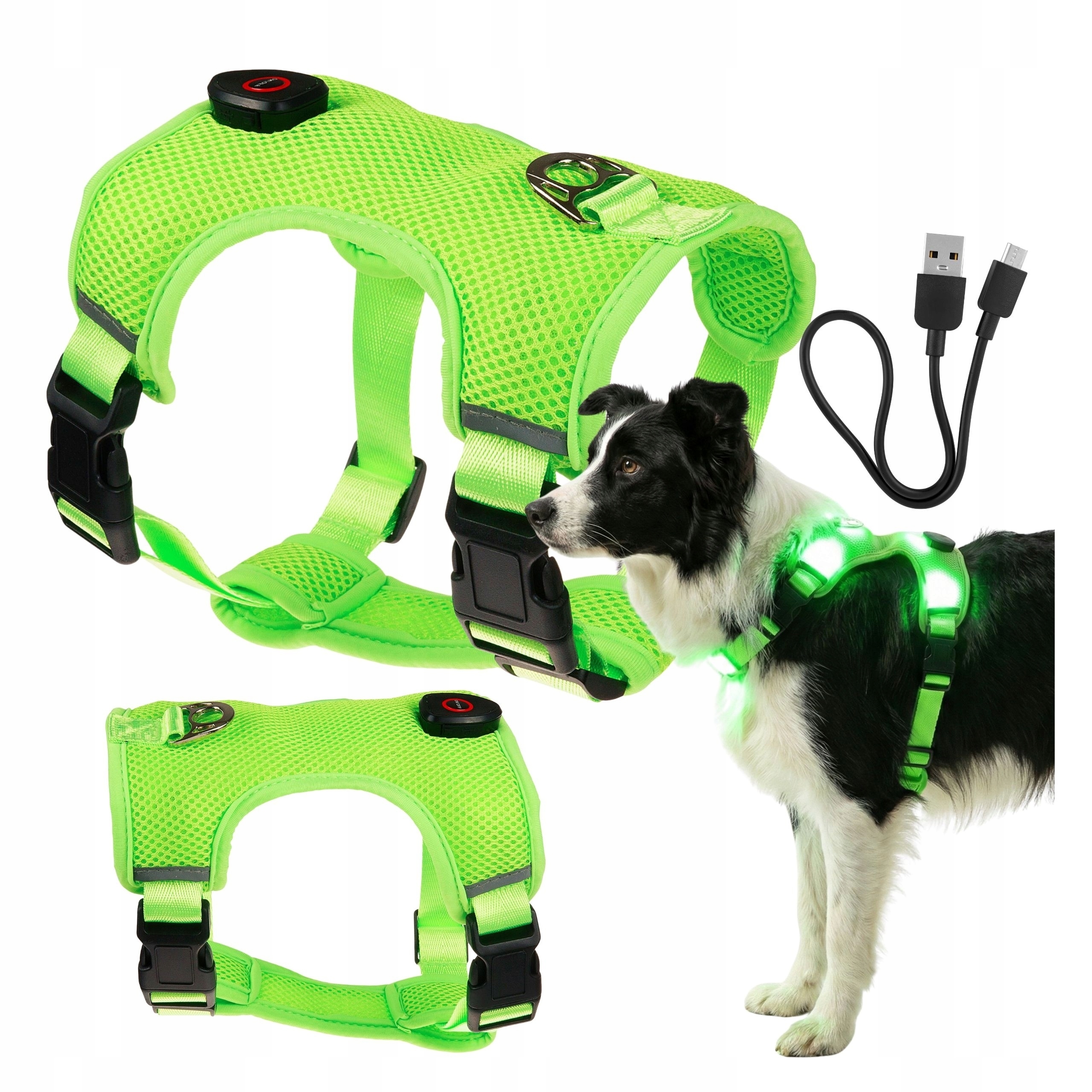 Led svítící postroje pro psa svítí ve tmě beztlakové typu Guard M Usb