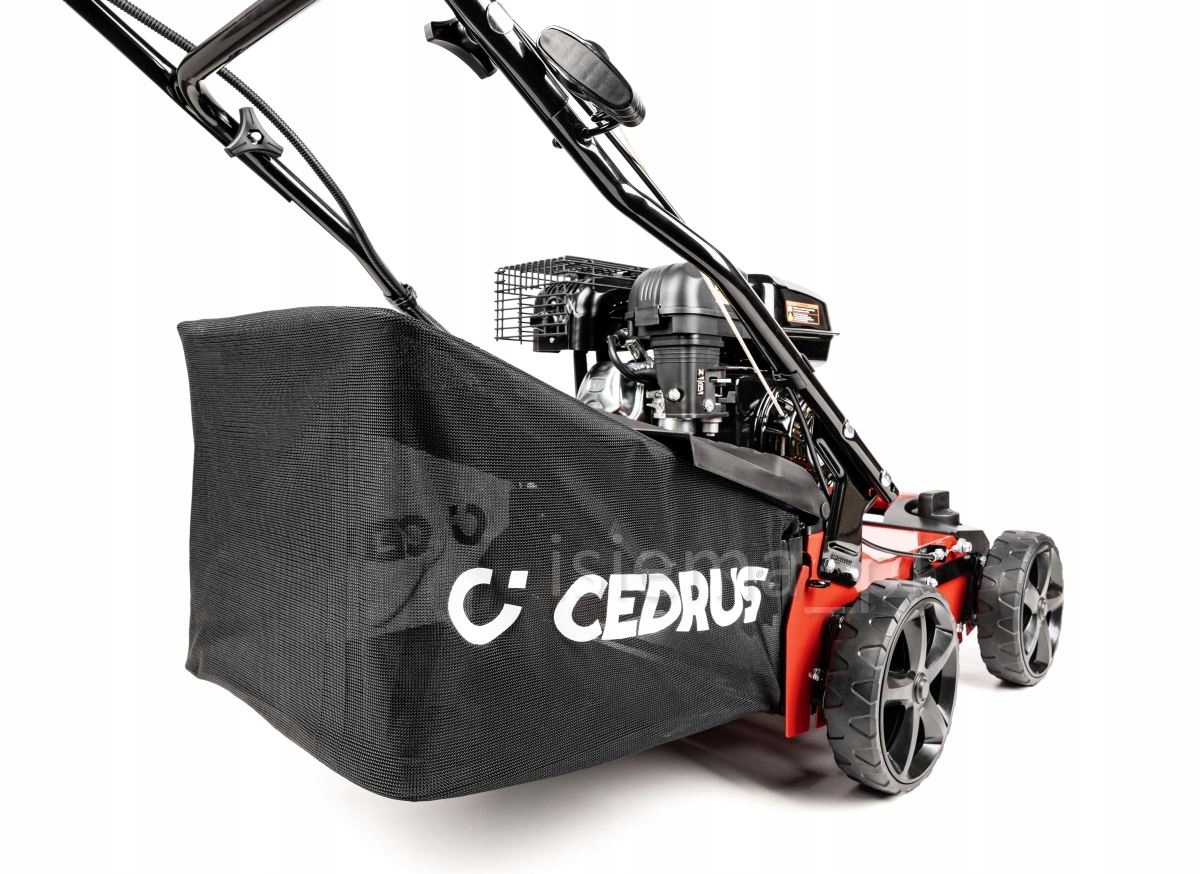 MOCNY WERTYKULATOR SPALINOWY CEDRUS WR01 3w1 XL Rodzaj aerator wertykulator