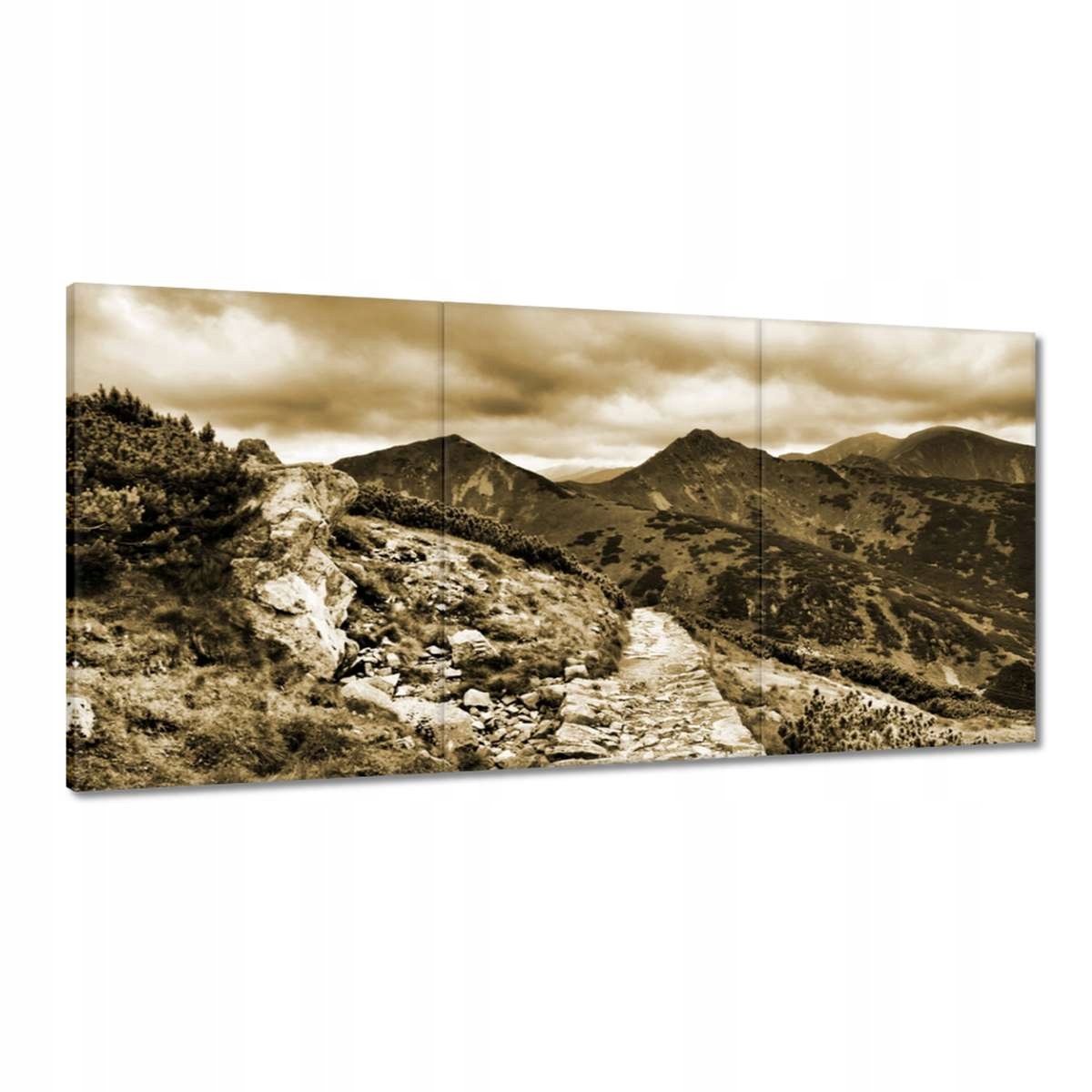 Obrazy 180x90 Tatry Poľské hory Pohľad