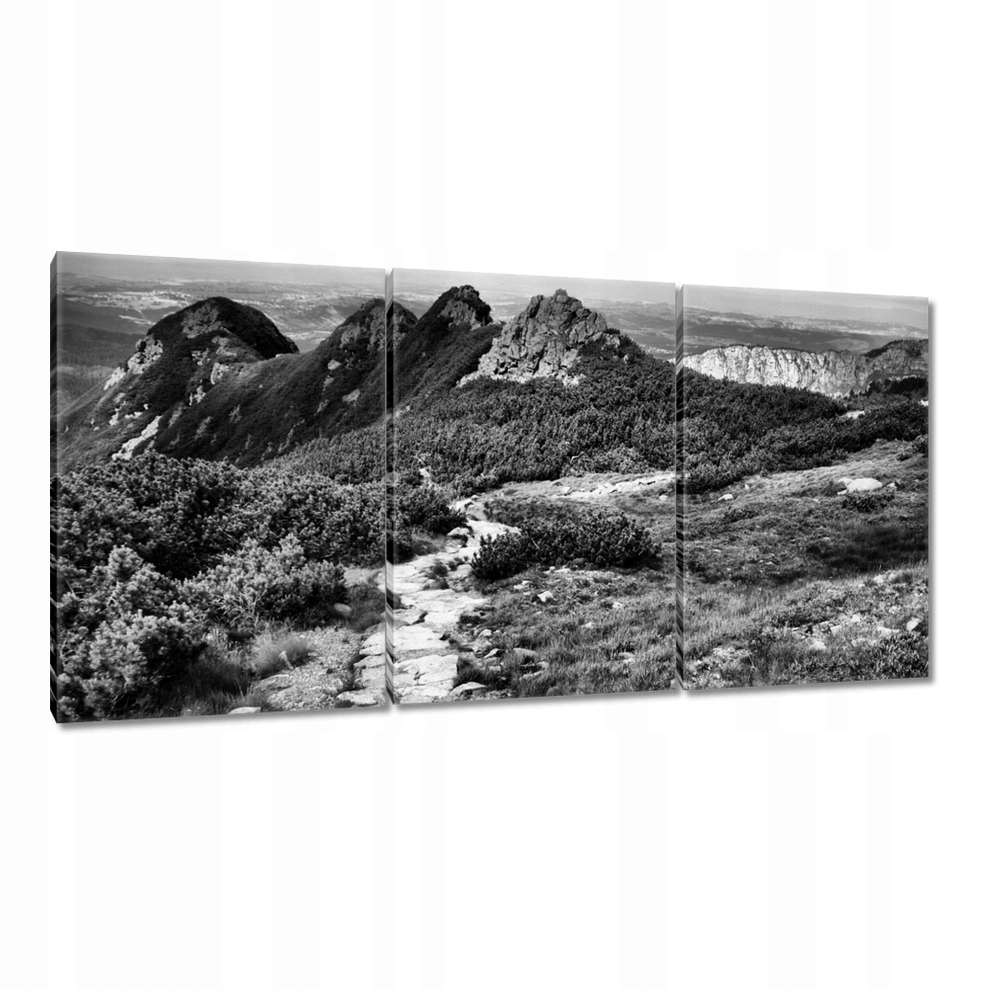 

Obrazy 120x60 Tatry Polskie góry Widok