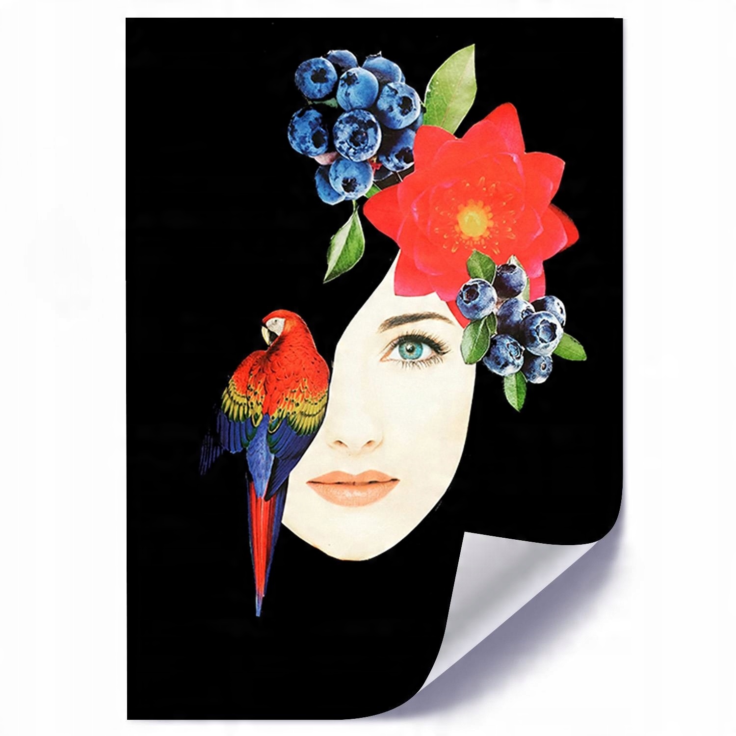

Nowoczesny Plakat Na Ścianę Dama Z Arą 50x70