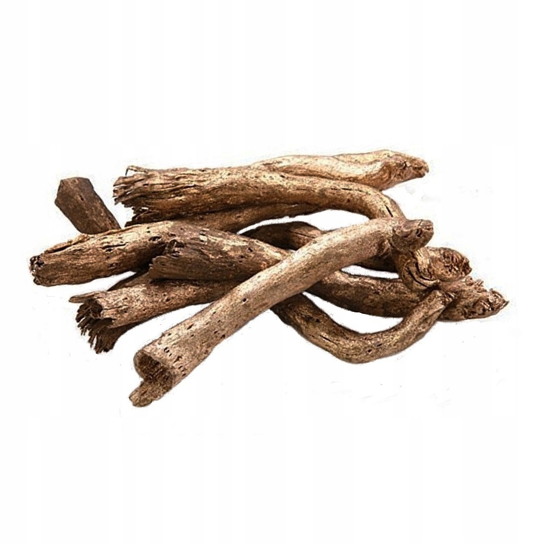 

[Mrówki] Kopi Cone korzeń naturalny formikarium