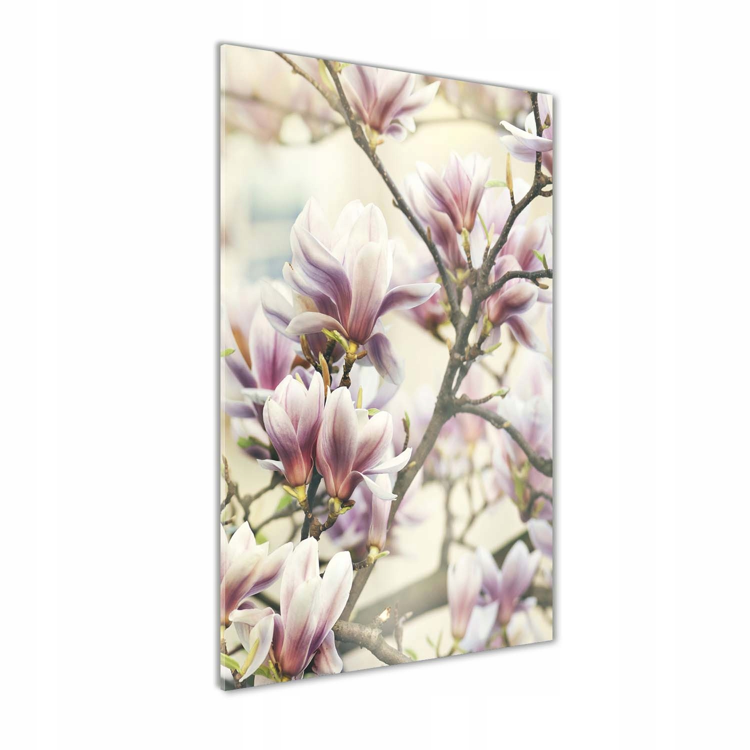 

Foto-obraz szkło hartowane Magnolia 70x140 cm