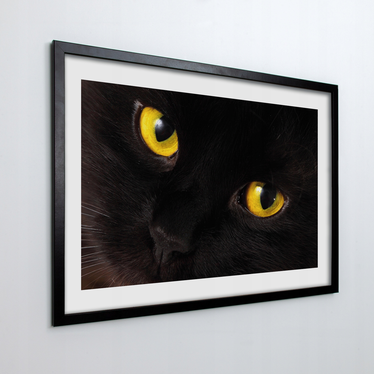 Obraz v ráme na stenu Žlté oči mačky 100x70 cm