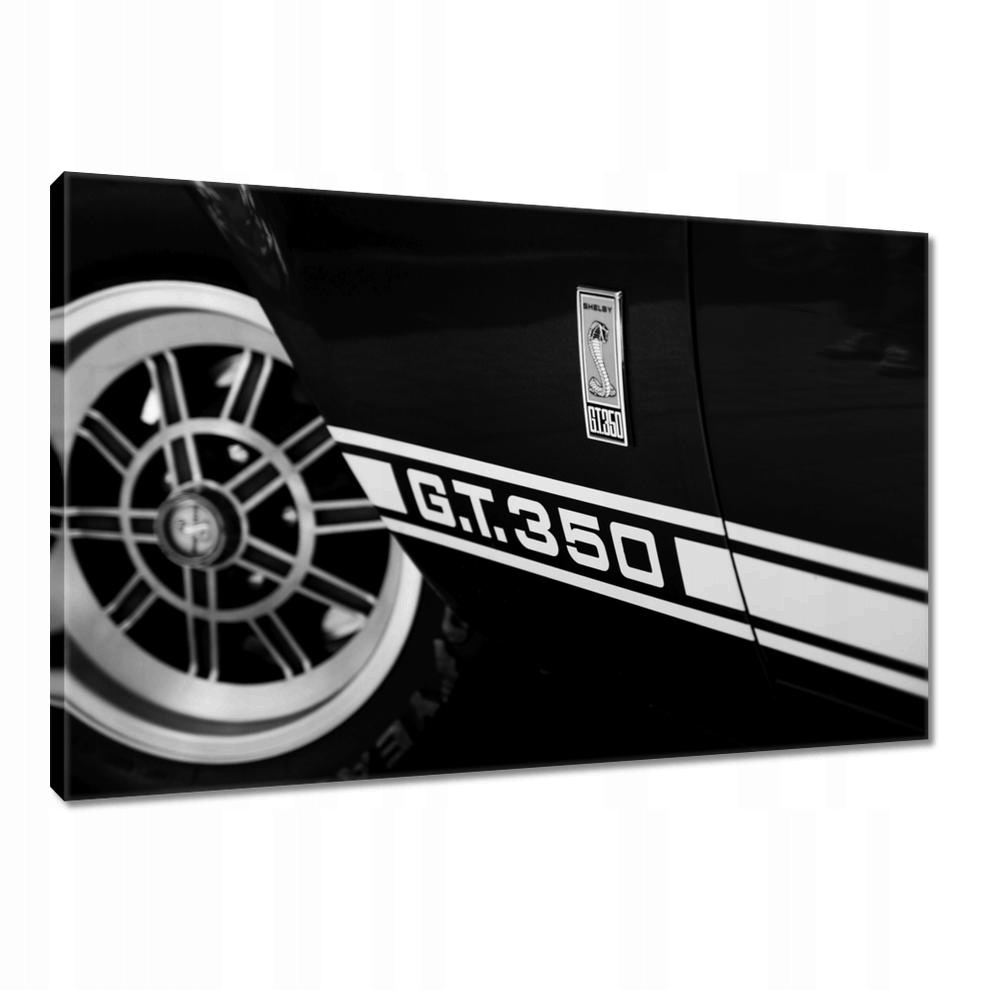 

Obrazy 90x60 Ford G.t. 350 Shelby