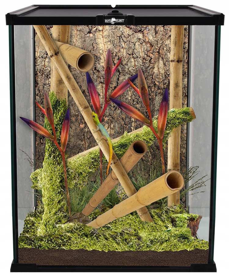 Repti Planet Terrarium szklane 20x20x30 cm