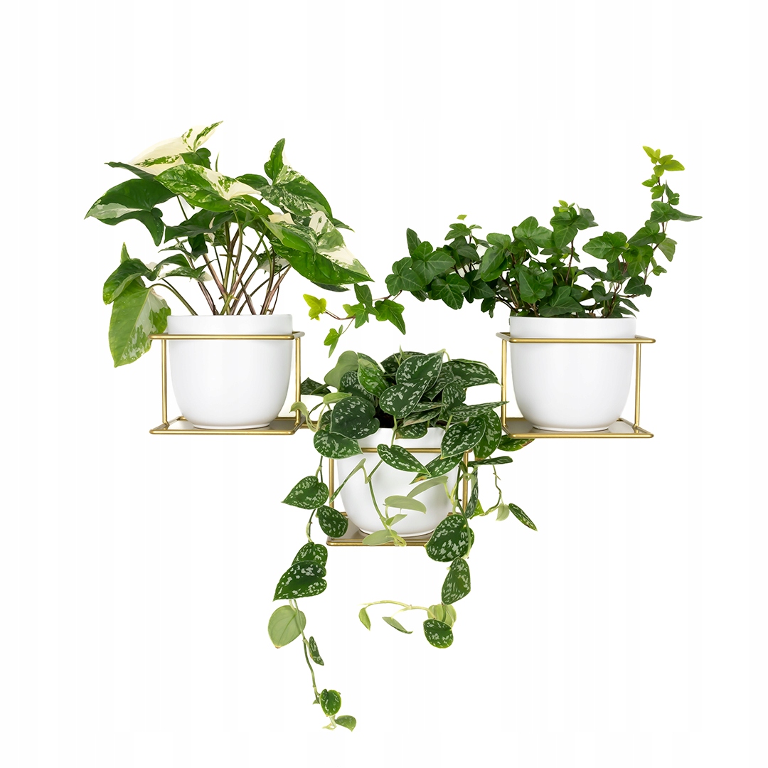 Kvetinový záhon Džungľa 5 nástenný závesný horizontálny pre 3 rastliny, zlaté kvetinové záhony