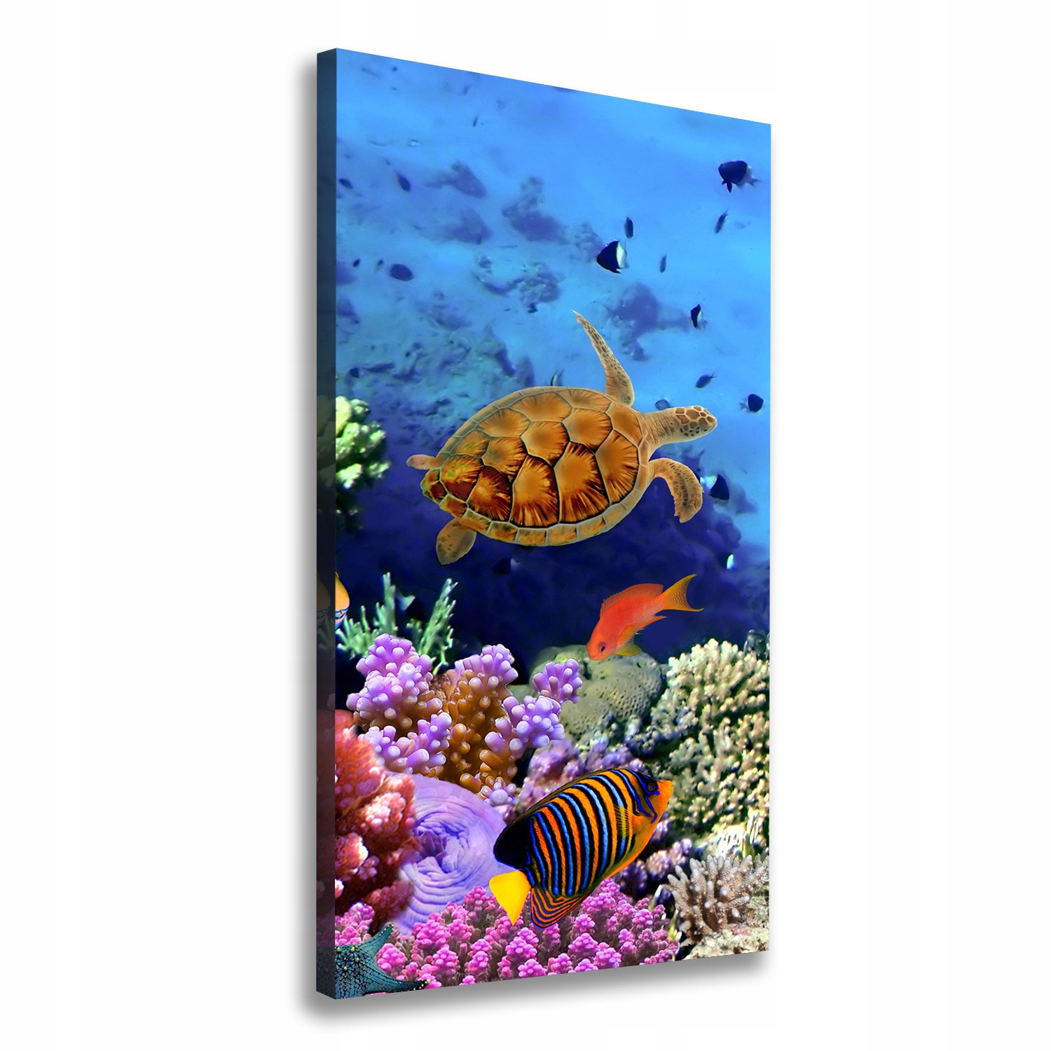 

Foto obraz canvas na ścianę Rafa koralowa 50x100cm