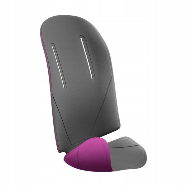 Padding For Child Bike Seats Thule Ridealong Grey/purple