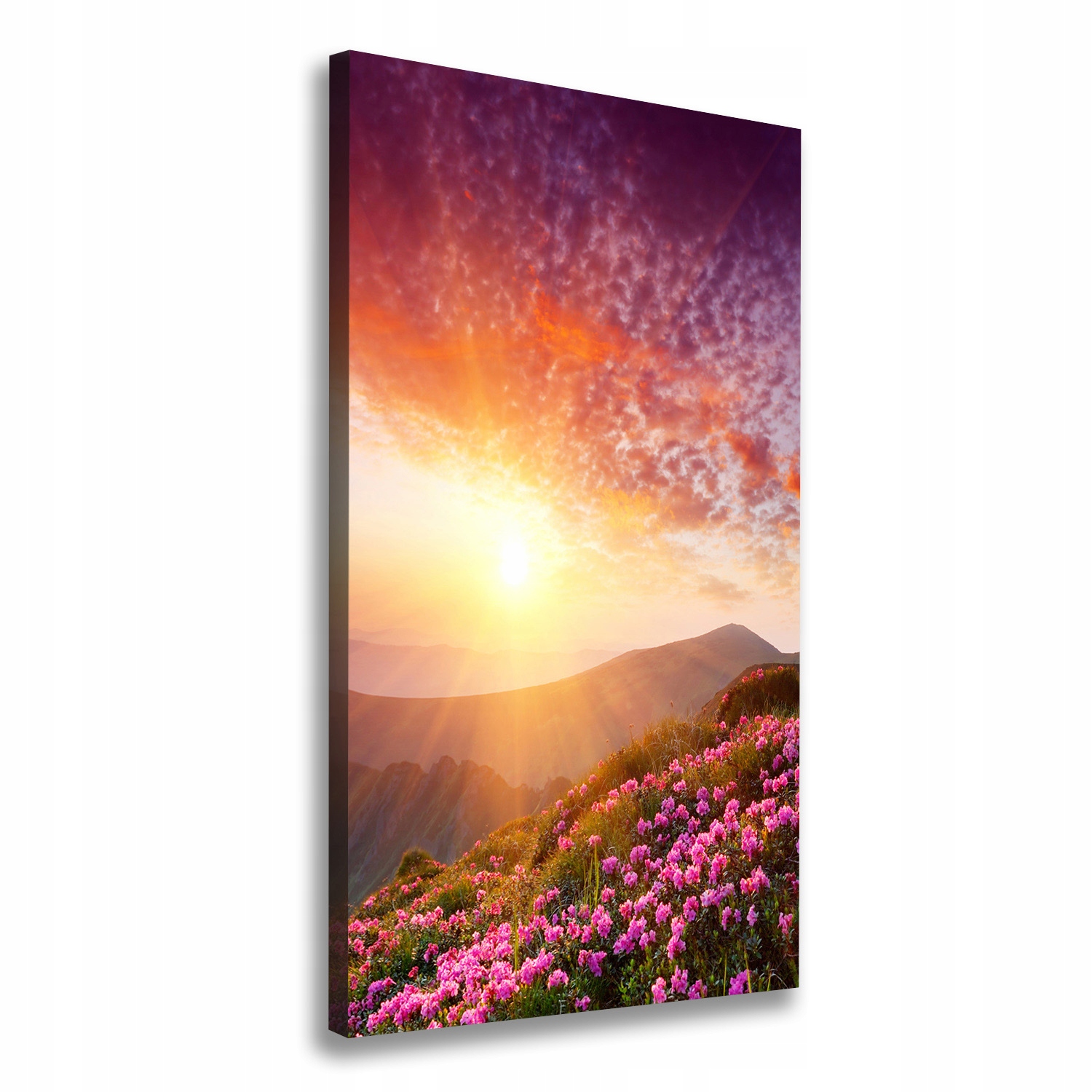 

Foto obraz na płótnie Wiosna w górach 70x140 cm