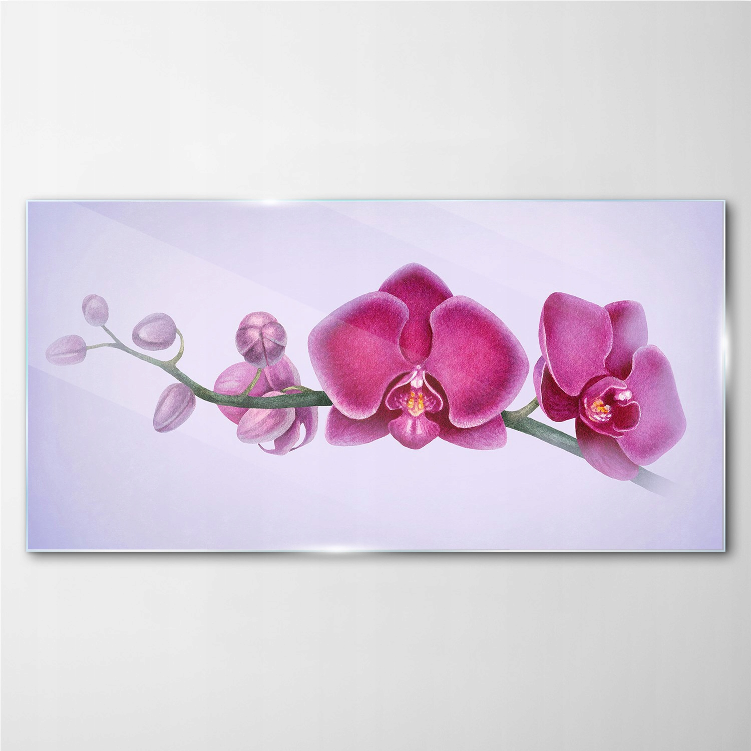 

Obraz szklany Akwarela kwiat gałąź orchidea 100x50