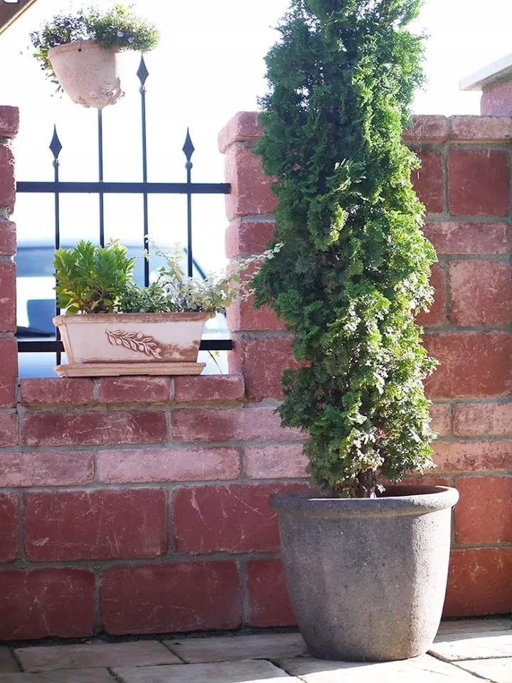 OGRODOWA DONICA DONICZKA Z KAMIONKI SICILIA - 352 39X31 CM Materiał wykonania inny